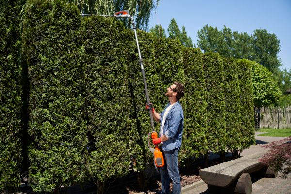 Overgrowth Trimming