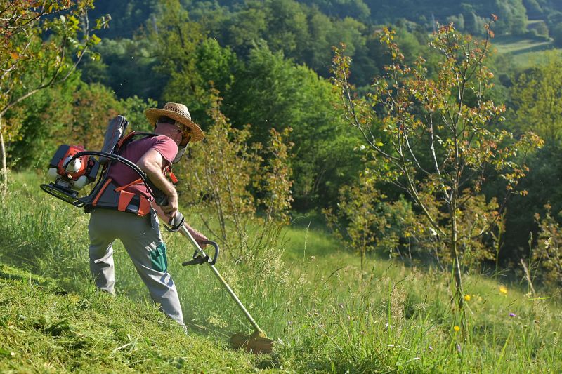 Roadside Mowing